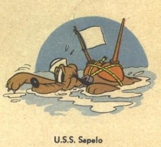 USS Sapelo cb