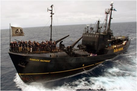 Whale Wars: How was the Sea Shepherd's new ship sunk? 