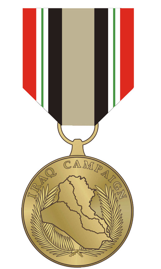 The Pentagon's Iraq Campaign medal. 