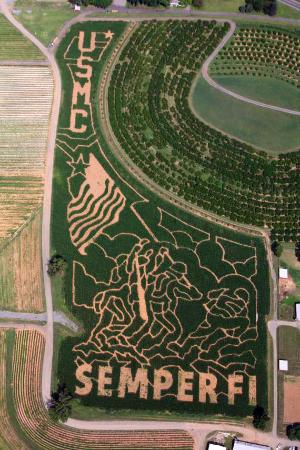 Alstede Farms corn maze, Chester, New Jersey