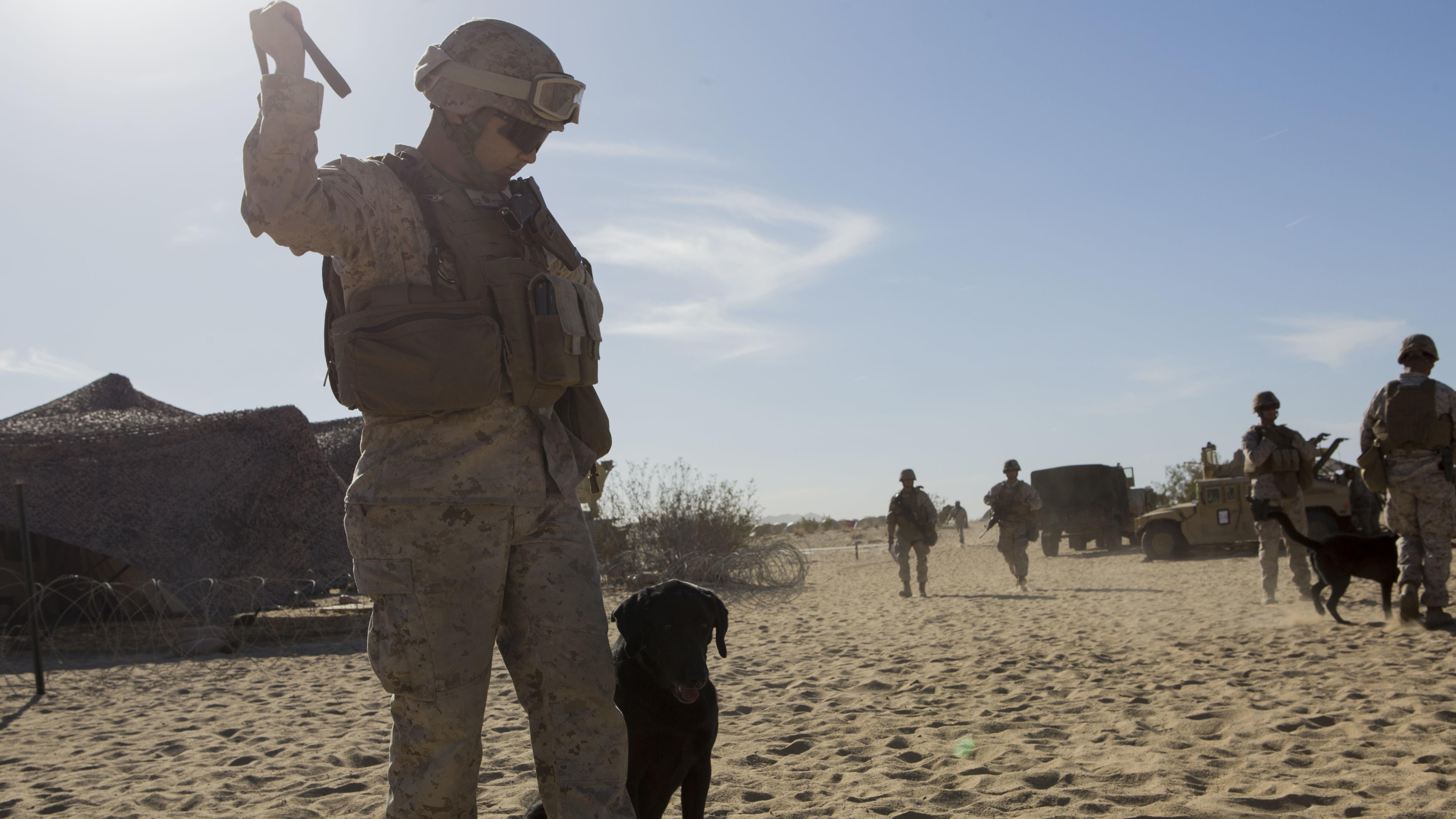 A Marine with 1st Law Enforcement Battalion, I Marine Expeditionary Force, prepares to commence directed seek and receive drills during Exercise Desert Scimitar 2015 aboard Marine Corps Air Ground Combat Center Twentynine Palms, California, April 9, 2015. US Marine Corps photo.