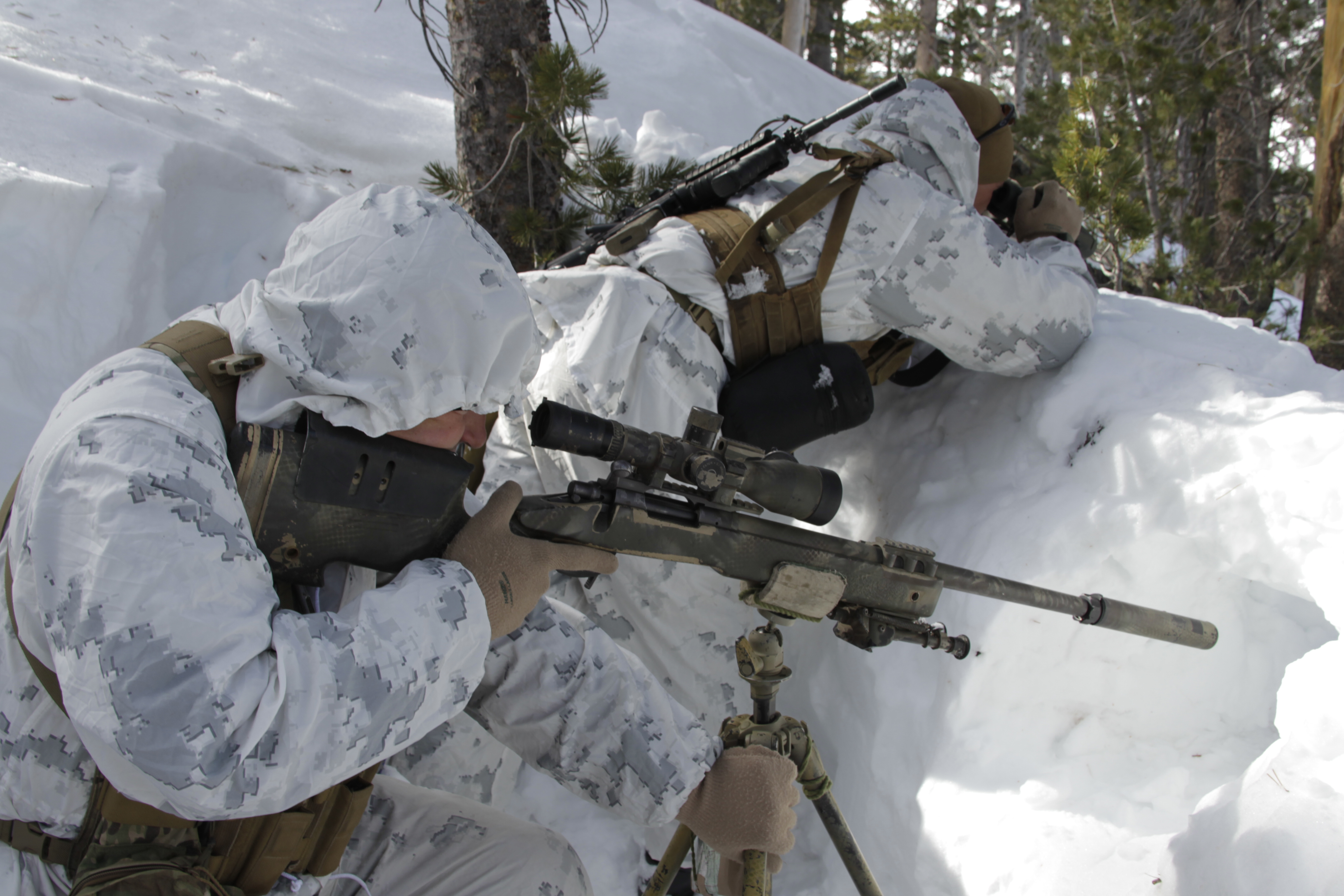 A shooter with a M40 A5 and his spotter prepare a shot in 2011, during the Mountain Scout Sniper Course at Marine Corps Mountain Warfare Training Center, Bridgeport, Calif. US Marine Corps Photo