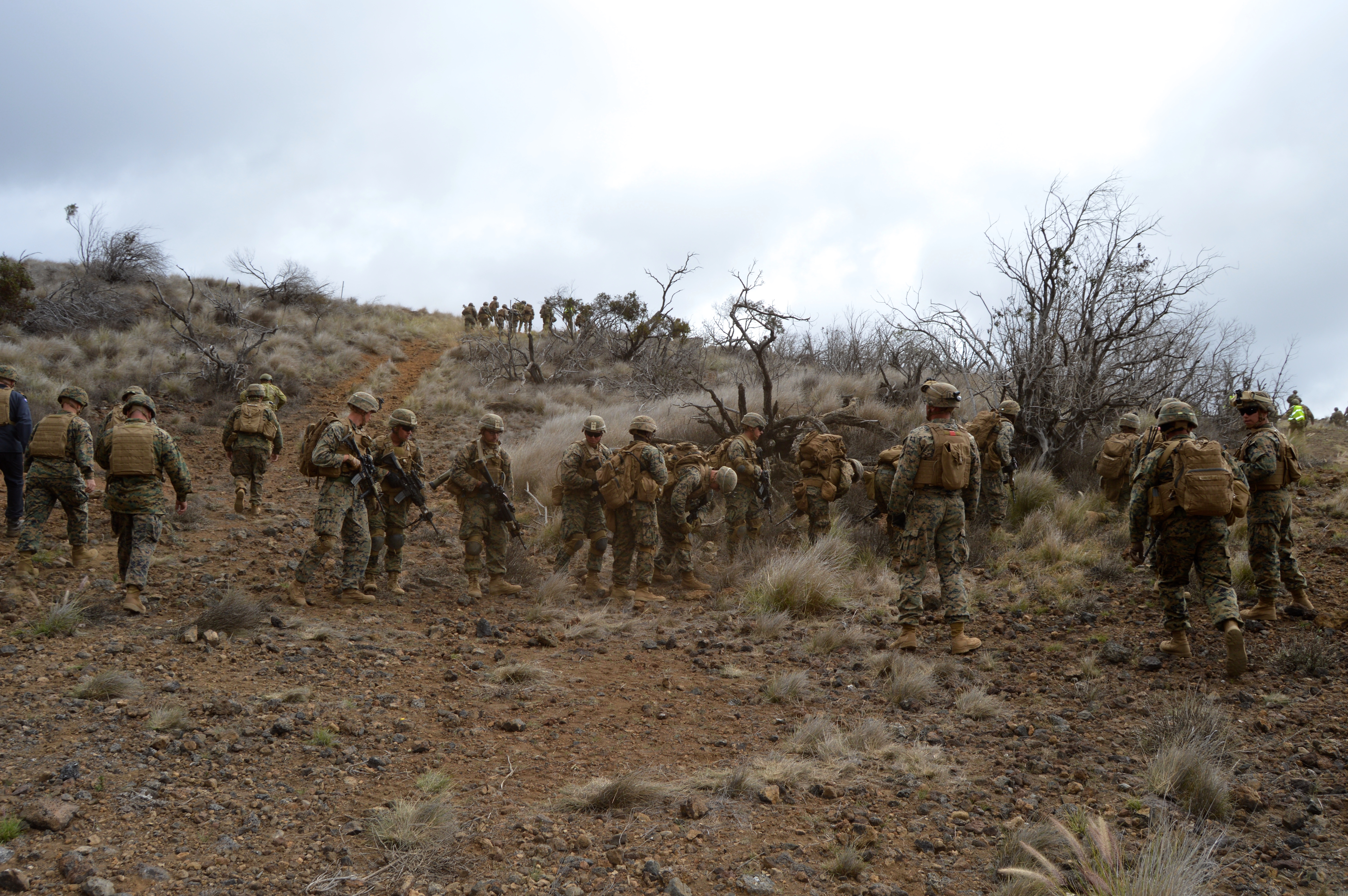 U.S. Marines and Australian soldier race up the first hill at the Range 10 Infantry Platoon Battle Course at Pohakuloa Training Area during the Rim of the Pacific 2016 exercise. USNI News photo.