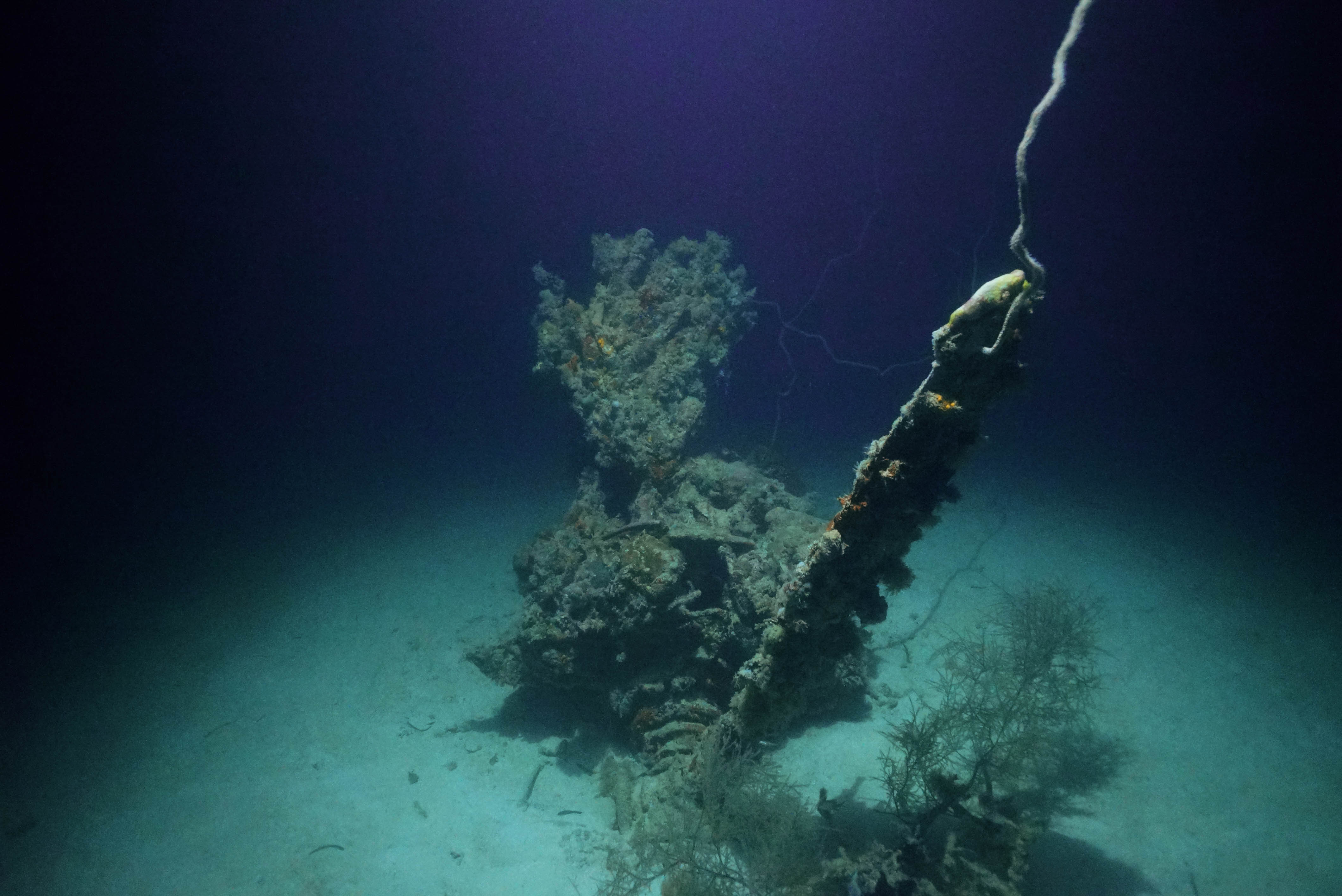 The remains of the missing Grumman TBM-1C Avenger. Photo Courtesy of Scripps Institution of Oceanography 
