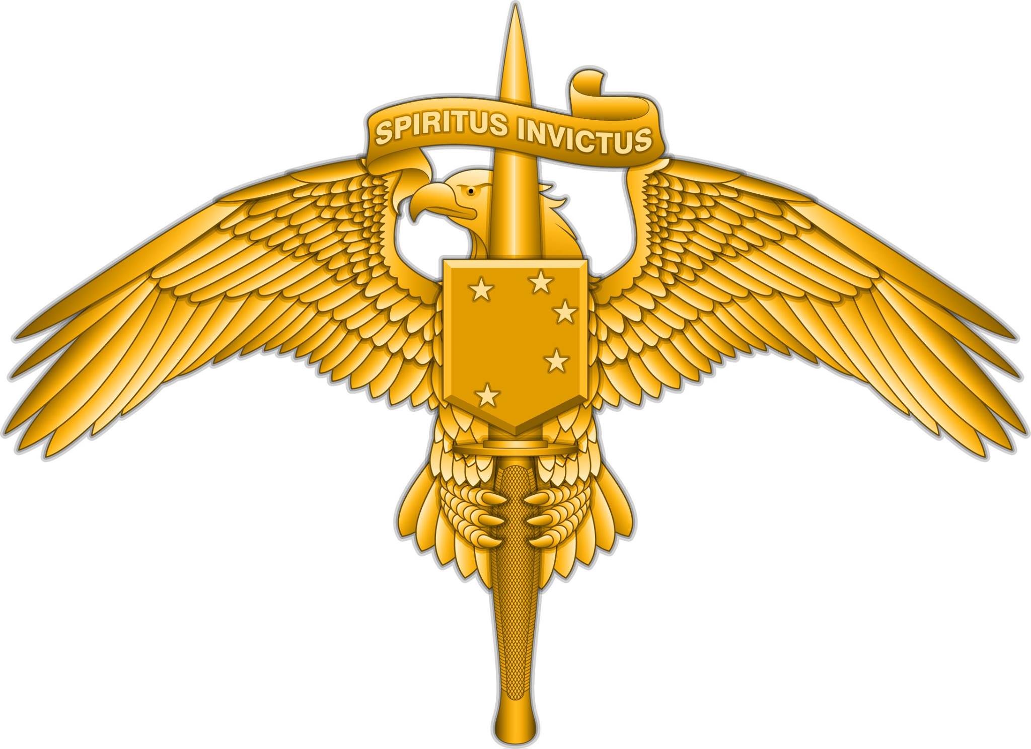 Marine Corps Announces New MARSOC Insignia Pin