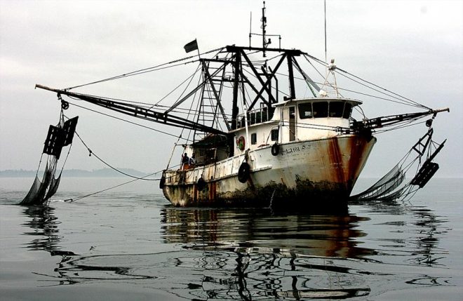 Report: Illegal Fishing Should be Major National Security Issue