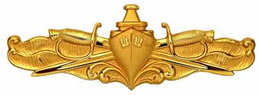 Surface Warfare Officer Pin