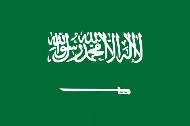 Report to Congress on Saudi Arabia