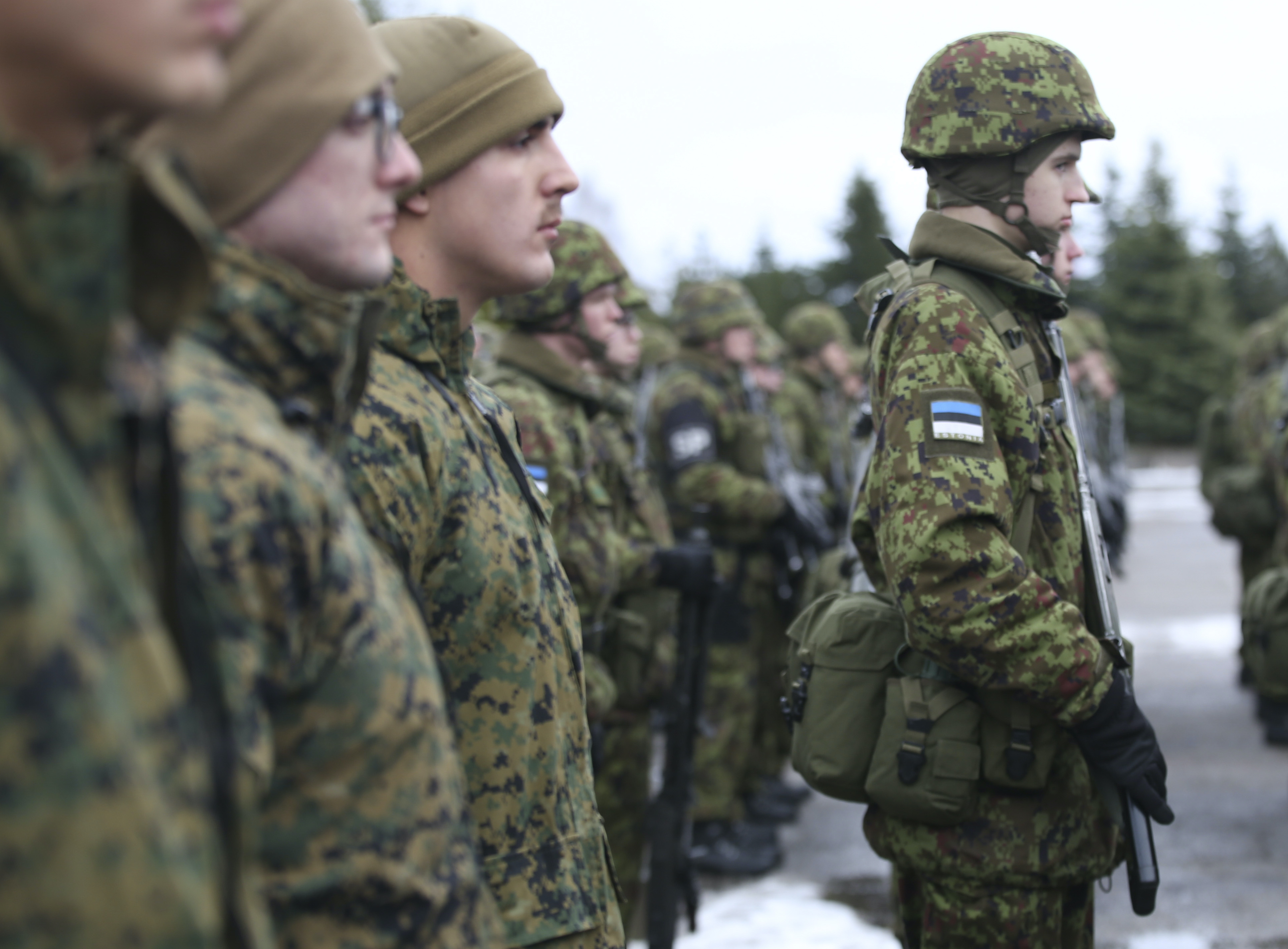 Estonia Estonian Army Presidential Guard Patch 