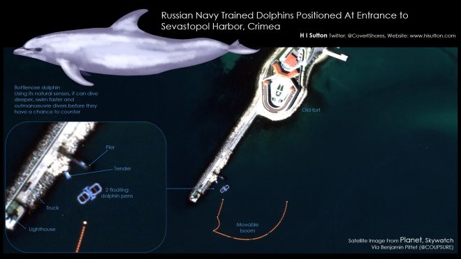 Trained Russian Navy Dolphins are Protecting Black Sea Naval Base, Satellite Photos Show