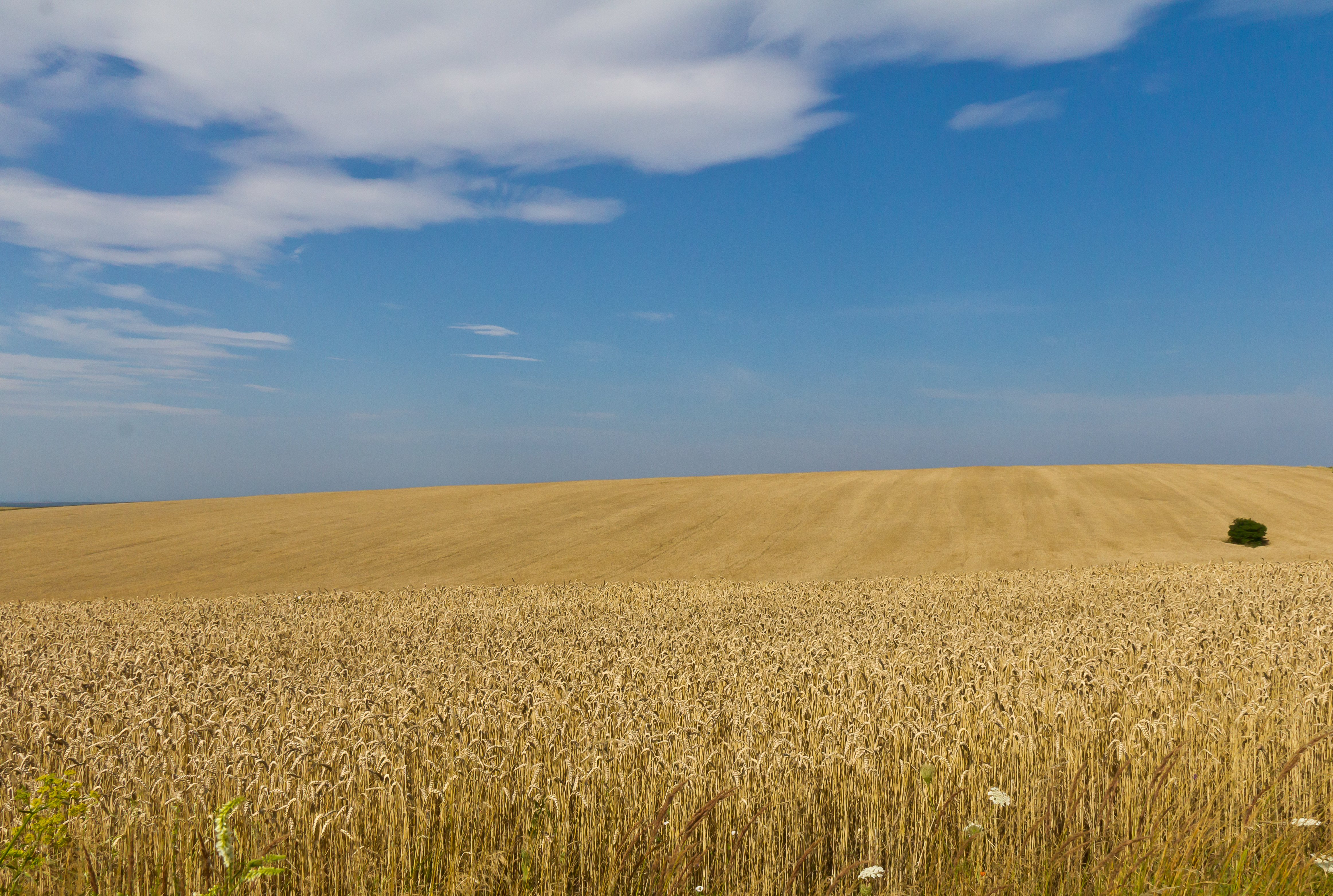 Extended Russian Ukraine Invasion has Stranded Merchant Mariners, Crippled  Wheat Production - USNI News