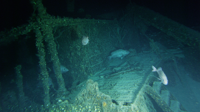 Expedition to Broadcast Survey of World War II Wrecks Live