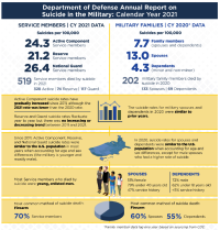 Pentagon 2021 Annual Report On Suicide In The Military - USNI News