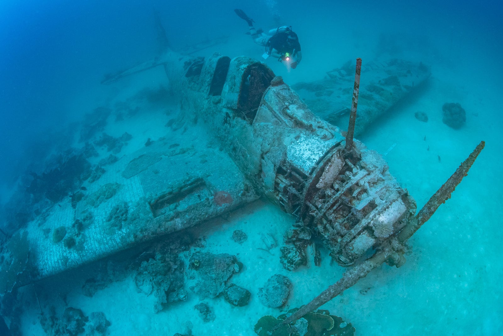 Conservationists Working to Recover WWII Torpedo Plane from Pacific Sea Floor